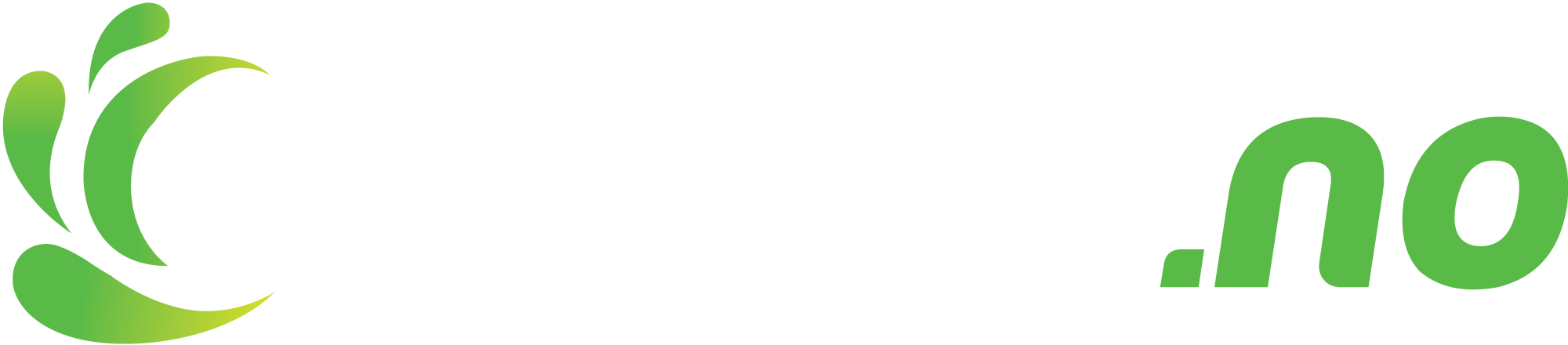 Bilvask.no